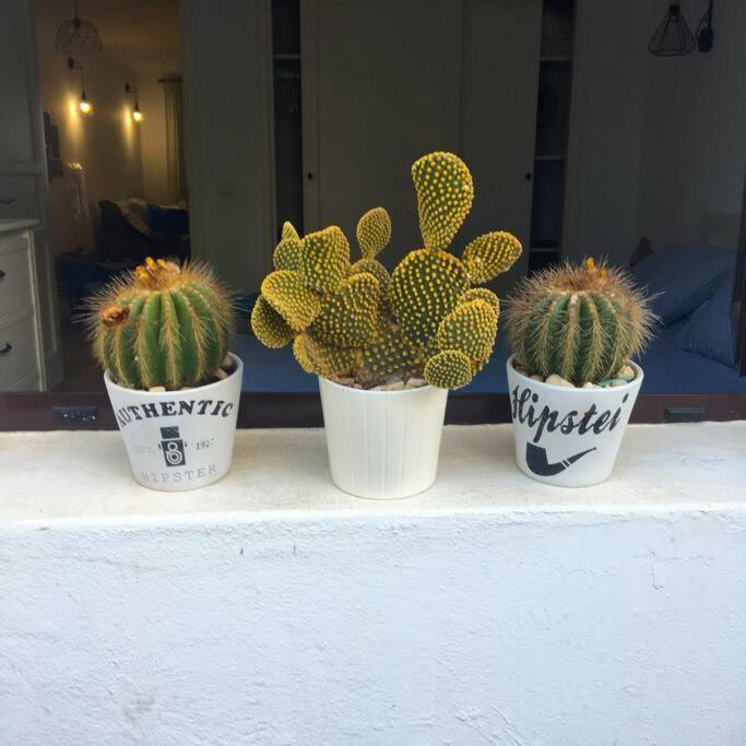 Vivienda Vacacional Cactus Коста Тегисе Екстериор снимка